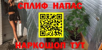 гашик Будённовск