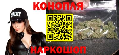 гашик Будённовск
