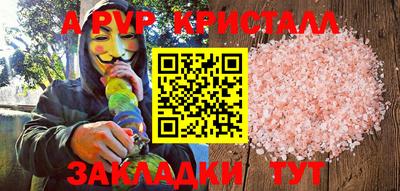 гашик Будённовск
