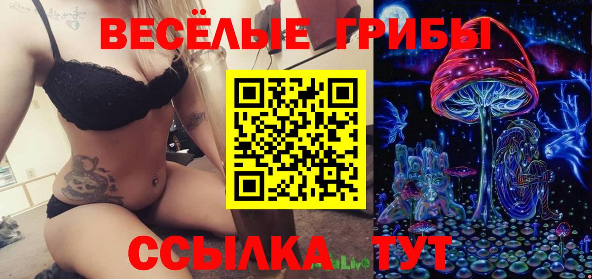 Малгобек  Галлюциногенные грибы Psilocybine cubensis  Псилоцибиновые грибы Magic Shrooms  Вход с VPN 