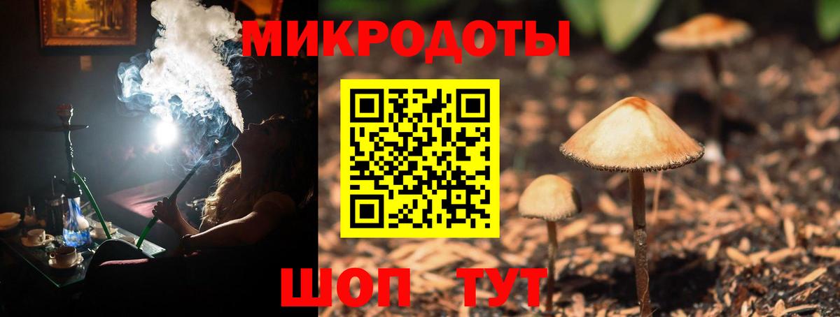 Псилоцибиновые грибы Cubensis Малгобек